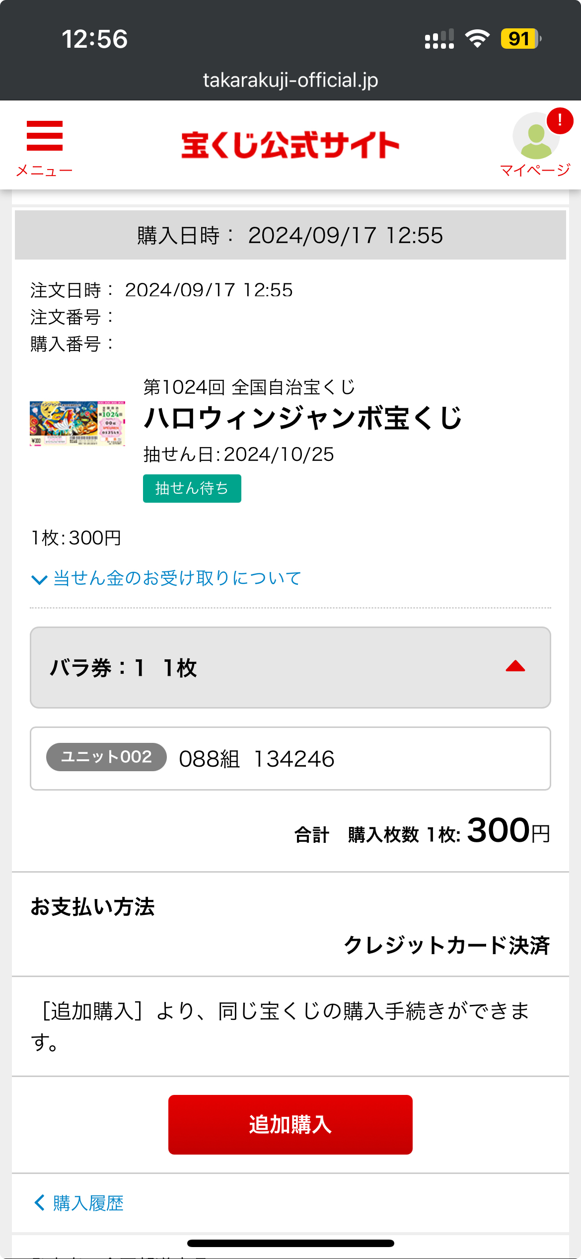 生活保護ですがハロウィンジャンボ宝くじを買いました【2024年】