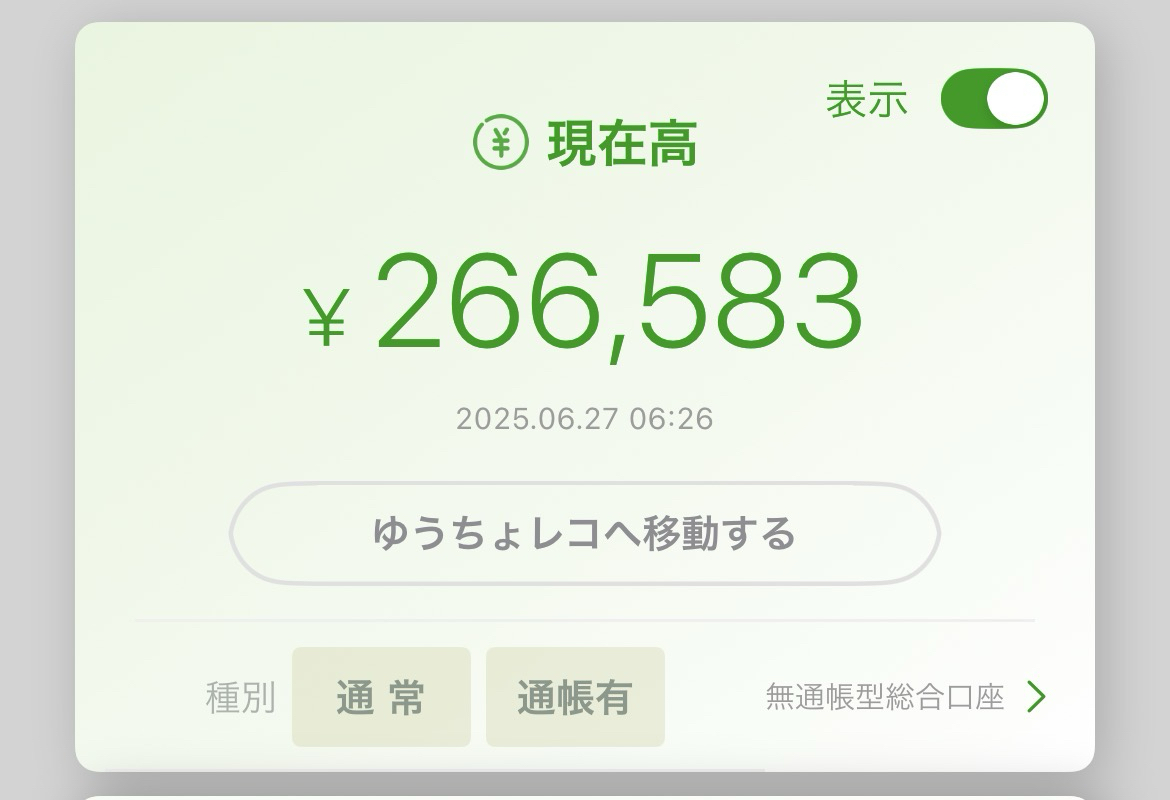うつ病生活保護受給者の家計簿【2025年6月末時点】​