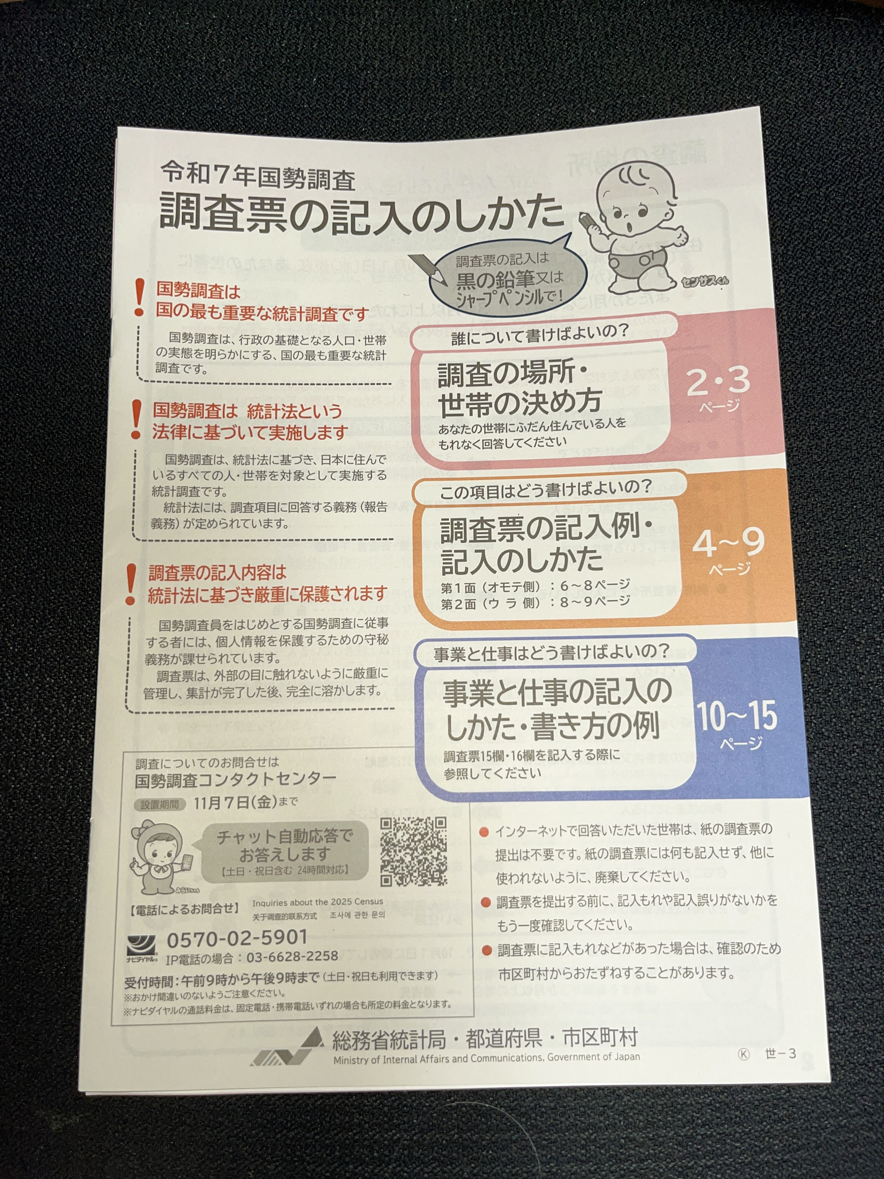国勢調査にインターネットで回答しました【2025年】
