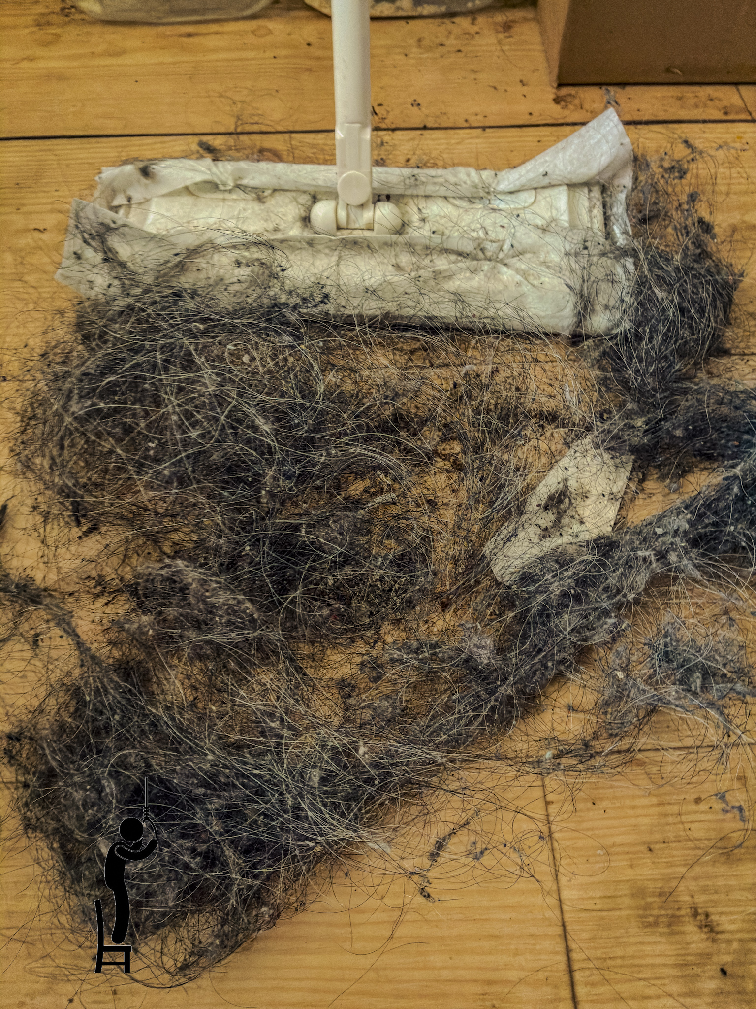 1年4ヶ月ぶりに床の埃を掃除しました​